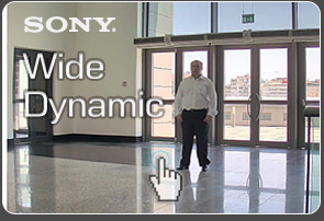 Sony wide dynamic technologies PDF document