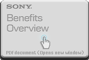 Sony benefits PDF document